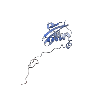28197_8ekc_i_v2-0
Escherichia coli 70S ribosome bound to thermorubin, deacylated P-site tRNAfMet and aminoacylated A-site Phe-tRNA