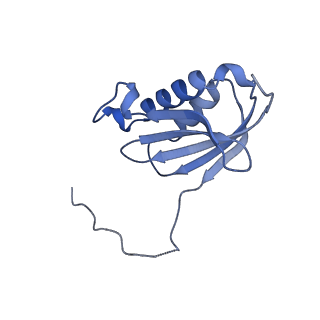 28197_8ekc_k_v1-2
Escherichia coli 70S ribosome bound to thermorubin, deacylated P-site tRNAfMet and aminoacylated A-site Phe-tRNA