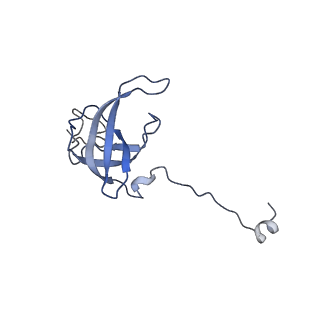 28197_8ekc_l_v1-2
Escherichia coli 70S ribosome bound to thermorubin, deacylated P-site tRNAfMet and aminoacylated A-site Phe-tRNA