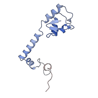 28197_8ekc_m_v1-2
Escherichia coli 70S ribosome bound to thermorubin, deacylated P-site tRNAfMet and aminoacylated A-site Phe-tRNA