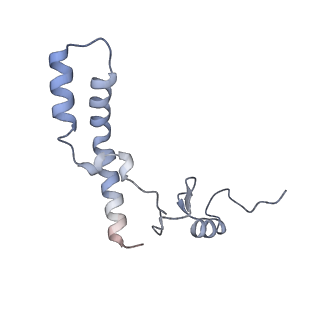 28197_8ekc_n_v1-2
Escherichia coli 70S ribosome bound to thermorubin, deacylated P-site tRNAfMet and aminoacylated A-site Phe-tRNA
