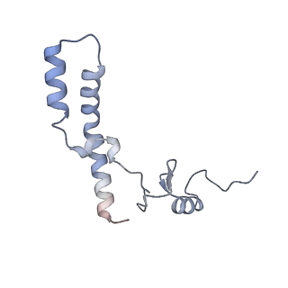 28197_8ekc_n_v3-0
Escherichia coli 70S ribosome bound to thermorubin, deacylated P-site tRNAfMet and aminoacylated A-site Phe-tRNA