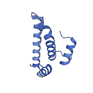 28197_8ekc_o_v1-2
Escherichia coli 70S ribosome bound to thermorubin, deacylated P-site tRNAfMet and aminoacylated A-site Phe-tRNA