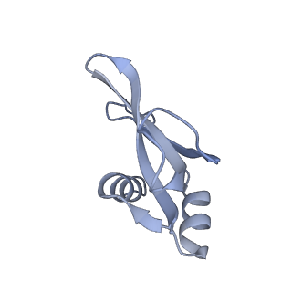 28197_8ekc_p_v1-2
Escherichia coli 70S ribosome bound to thermorubin, deacylated P-site tRNAfMet and aminoacylated A-site Phe-tRNA
