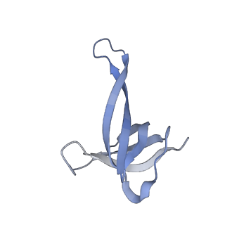 28197_8ekc_q_v1-2
Escherichia coli 70S ribosome bound to thermorubin, deacylated P-site tRNAfMet and aminoacylated A-site Phe-tRNA