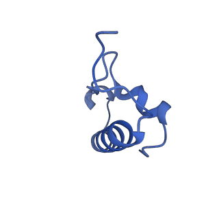 28197_8ekc_r_v1-2
Escherichia coli 70S ribosome bound to thermorubin, deacylated P-site tRNAfMet and aminoacylated A-site Phe-tRNA