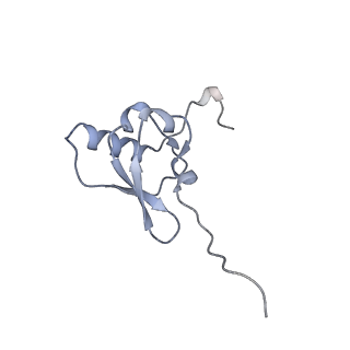 28197_8ekc_s_v1-2
Escherichia coli 70S ribosome bound to thermorubin, deacylated P-site tRNAfMet and aminoacylated A-site Phe-tRNA