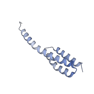 28197_8ekc_t_v1-2
Escherichia coli 70S ribosome bound to thermorubin, deacylated P-site tRNAfMet and aminoacylated A-site Phe-tRNA