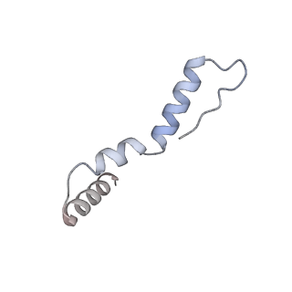 28197_8ekc_u_v1-2
Escherichia coli 70S ribosome bound to thermorubin, deacylated P-site tRNAfMet and aminoacylated A-site Phe-tRNA