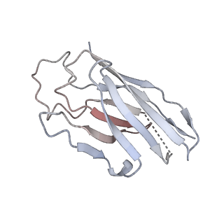 28199_8ekd_E_v1-1
Cryo-EM map of SARS-CoV-2 Omicron BA.2 spike in complex with 2130-1-0114-112