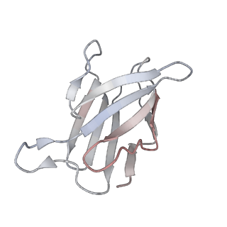 28199_8ekd_F_v1-1
Cryo-EM map of SARS-CoV-2 Omicron BA.2 spike in complex with 2130-1-0114-112