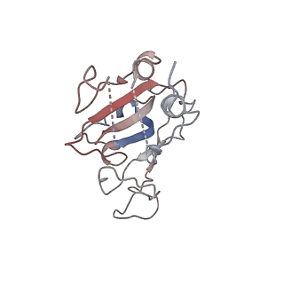 28199_8ekd_G_v1-1
Cryo-EM map of SARS-CoV-2 Omicron BA.2 spike in complex with 2130-1-0114-112