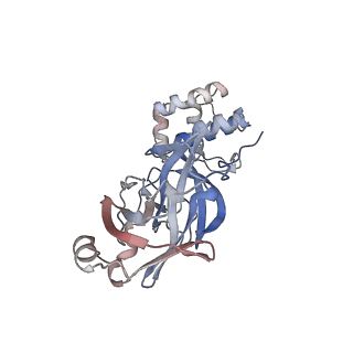 28200_8eke_A_v1-1
Cryo-EM structure of SARS CoV-2 Mpro WT protease