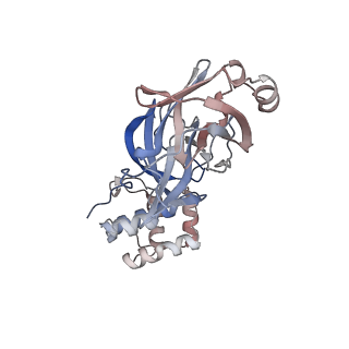 28200_8eke_B_v1-1
Cryo-EM structure of SARS CoV-2 Mpro WT protease