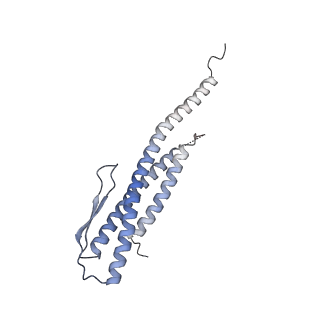 28204_8eki_A_v1-2
CryoEM structure of the Dsl1 complex bound to SNAREs Sec20 and Use1