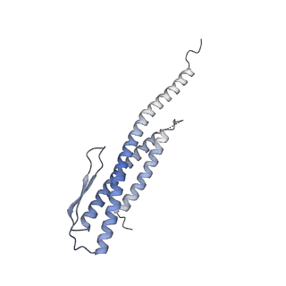 28204_8eki_A_v1-3
CryoEM structure of the Dsl1 complex bound to SNAREs Sec20 and Use1