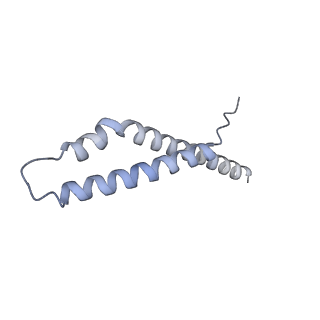 28204_8eki_B_v1-2
CryoEM structure of the Dsl1 complex bound to SNAREs Sec20 and Use1