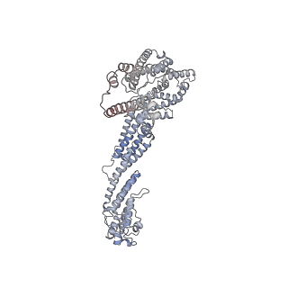 28204_8eki_C_v1-2
CryoEM structure of the Dsl1 complex bound to SNAREs Sec20 and Use1