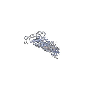 28204_8eki_D_v1-2
CryoEM structure of the Dsl1 complex bound to SNAREs Sec20 and Use1