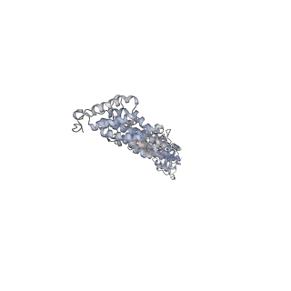 28204_8eki_D_v1-3
CryoEM structure of the Dsl1 complex bound to SNAREs Sec20 and Use1