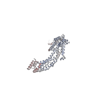 28204_8eki_E_v1-2
CryoEM structure of the Dsl1 complex bound to SNAREs Sec20 and Use1