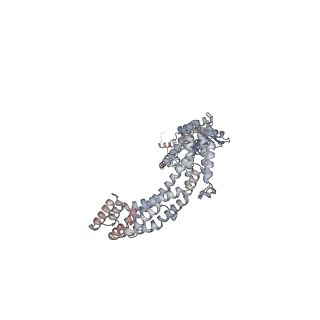 28204_8eki_E_v1-3
CryoEM structure of the Dsl1 complex bound to SNAREs Sec20 and Use1