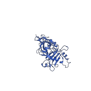 28206_8ekl_D_v1-0
Clostridioides difficile binary toxin translocase CDTb wild-type after calcium depletion from receptor binding domain 1 (RBD1) - Class 1