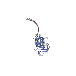 28207_8ekm_F_v1-0
Clostridioides difficile binary toxin translocase CDTb double mutant - D623A D734A