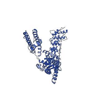 28212_8eks_D_v1-0
rat TRPV2 in nanodiscs in the presence of weak acid at pH 5