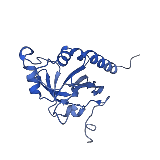 28214_8ekw_A_v1-1
Cryo-EM structure of human PRDX4