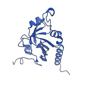 28214_8ekw_B_v1-1
Cryo-EM structure of human PRDX4
