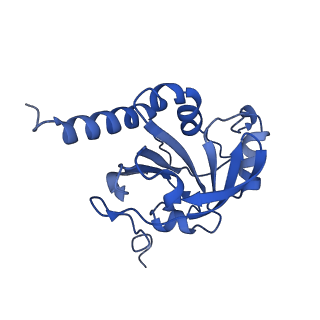 28214_8ekw_C_v1-1
Cryo-EM structure of human PRDX4