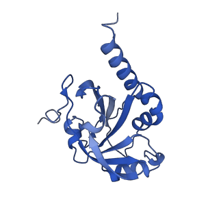 28214_8ekw_D_v1-1
Cryo-EM structure of human PRDX4