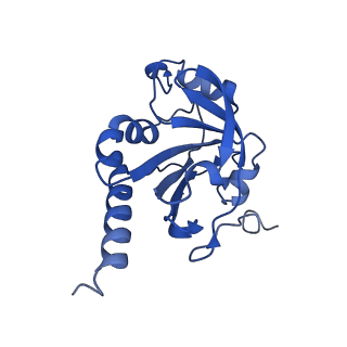 28214_8ekw_E_v1-1
Cryo-EM structure of human PRDX4