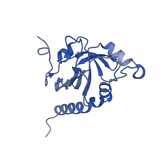 28214_8ekw_F_v1-1
Cryo-EM structure of human PRDX4