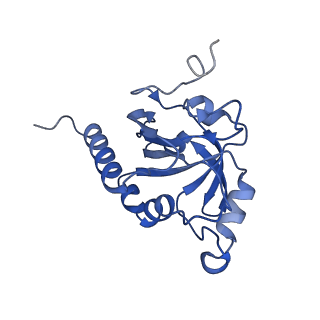 28214_8ekw_H_v1-1
Cryo-EM structure of human PRDX4