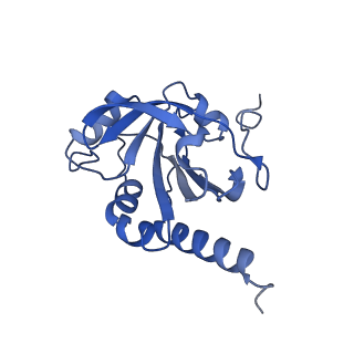 28214_8ekw_I_v1-1
Cryo-EM structure of human PRDX4