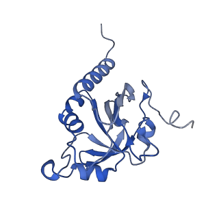 28214_8ekw_J_v1-1
Cryo-EM structure of human PRDX4