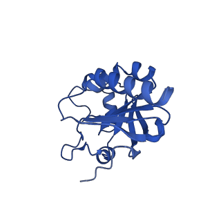 28217_8eky_B_v1-1
Cryo-EM structure of the human PRDX4-ErP46 complex
