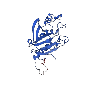 28217_8eky_C_v1-1
Cryo-EM structure of the human PRDX4-ErP46 complex
