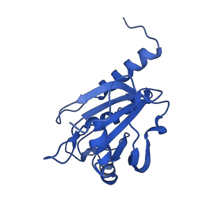 28217_8eky_D_v1-1
Cryo-EM structure of the human PRDX4-ErP46 complex