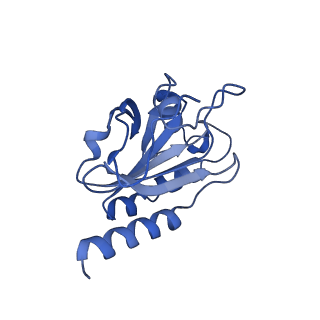 28217_8eky_E_v1-1
Cryo-EM structure of the human PRDX4-ErP46 complex