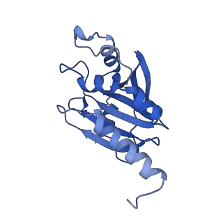 28217_8eky_F_v1-1
Cryo-EM structure of the human PRDX4-ErP46 complex