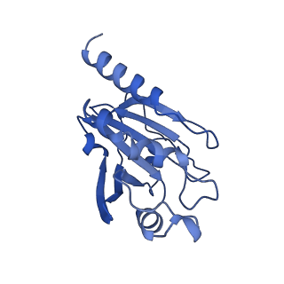 28217_8eky_G_v1-1
Cryo-EM structure of the human PRDX4-ErP46 complex