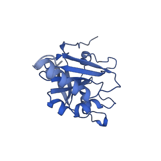 28217_8eky_I_v1-1
Cryo-EM structure of the human PRDX4-ErP46 complex