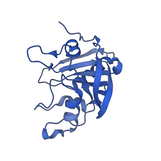 28217_8eky_J_v1-1
Cryo-EM structure of the human PRDX4-ErP46 complex