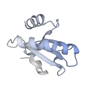 28217_8eky_M_v1-1
Cryo-EM structure of the human PRDX4-ErP46 complex