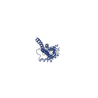 31168_7eki_A_v1-1
human alpha 7 nicotinic acetylcholine receptor in apo-form