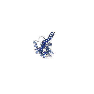 31168_7eki_B_v1-1
human alpha 7 nicotinic acetylcholine receptor in apo-form