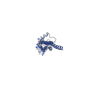 31168_7eki_C_v1-1
human alpha 7 nicotinic acetylcholine receptor in apo-form